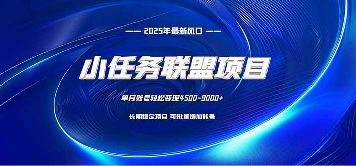 小任务联盟项目：一台电脑每天只需10分钟，轻松简单稳定-阿权资源社