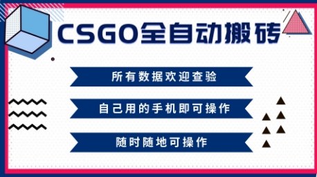 CSGO全自动搬砖，年底钱回家好项目，当天可拿到结果，新手小白轻松月入1W+【揭秘】-阿权资源社