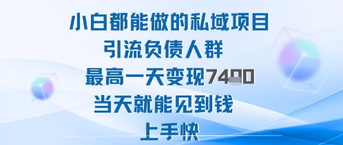 2025年小白都能做的私域项目引流负债人群最高一天变现1k+高变现难度低当天就能见到钱上手快-阿权资源社