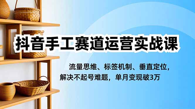 抖音手工赛道运营实战课，流量思维、标签机制、垂直定位，解决不起号难题，单月变现破3万-阿权资源社