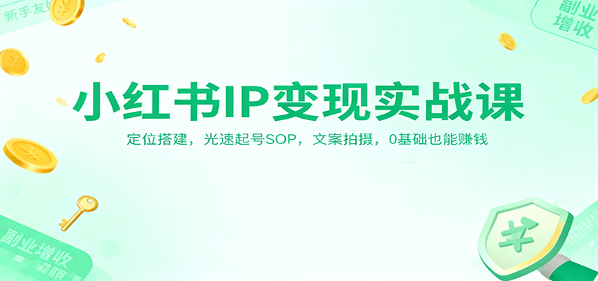 小红书IP变现实战课：定位搭建，光速起号SOP，文案拍摄，0基础也能赚钱-阿权资源社
