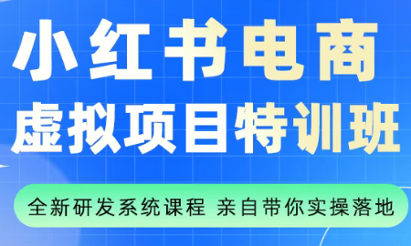 陆明明·小红书虚拟项目特训班(更新9月)-阿权资源社