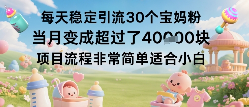 每天稳定引流30个宝妈粉当月变成超过了1W+项目流程非常简单适合小白-阿权资源社
