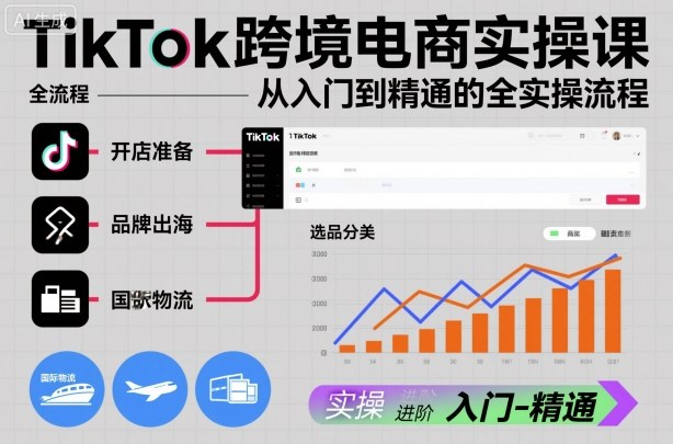 TikTok跨境电商实操课，从入门到精通的全实操流程-阿权资源社