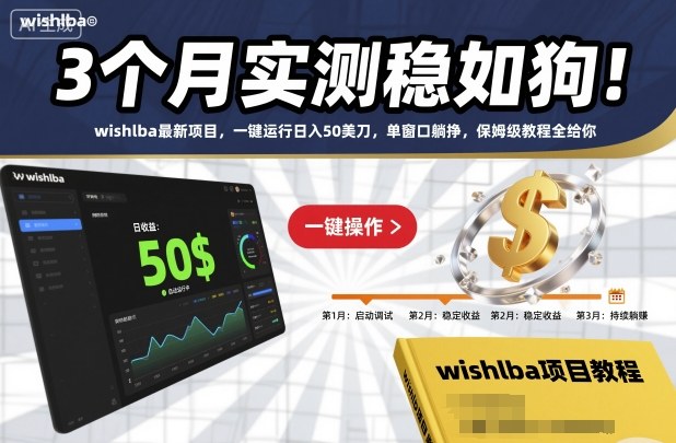 3个月实测稳如狗！wishlba最新项目，一键运行日入50美刀，单窗口躺挣，保姆级教程全给你【揭秘】-阿权资源社