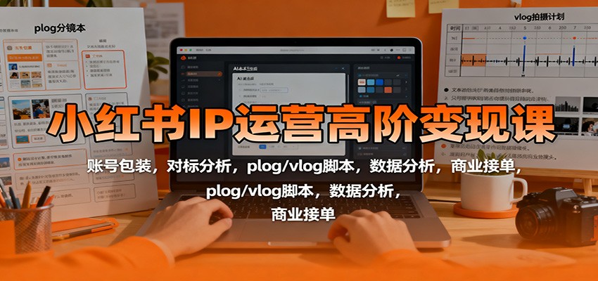 小红书IP运营高阶变现课：账号包装，对标分析，plog/vlog脚本，数据分析，商业接单-阿权资源社