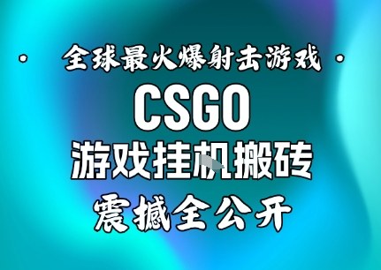 【年底大揭秘】基于全球最火爆的射击CSGO游戏挂G搬砖，日入5张+，震撼公开-阿权资源社
