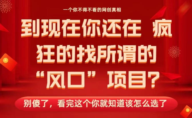 马上26年了,你还在找所谓的风口项目?别傻了,看完这个你全都懂了!【揭秘】-阿权资源社