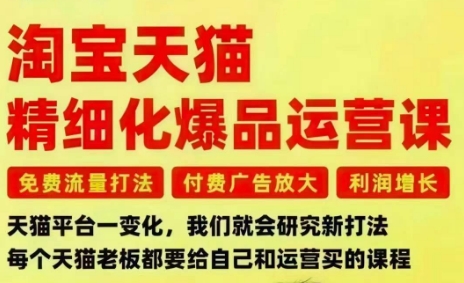淘宝天猫精细化爆品运营课，免费流量打法-付费广告放大-利润增长-三大核心痛点，一次全部解决-阿权资源社